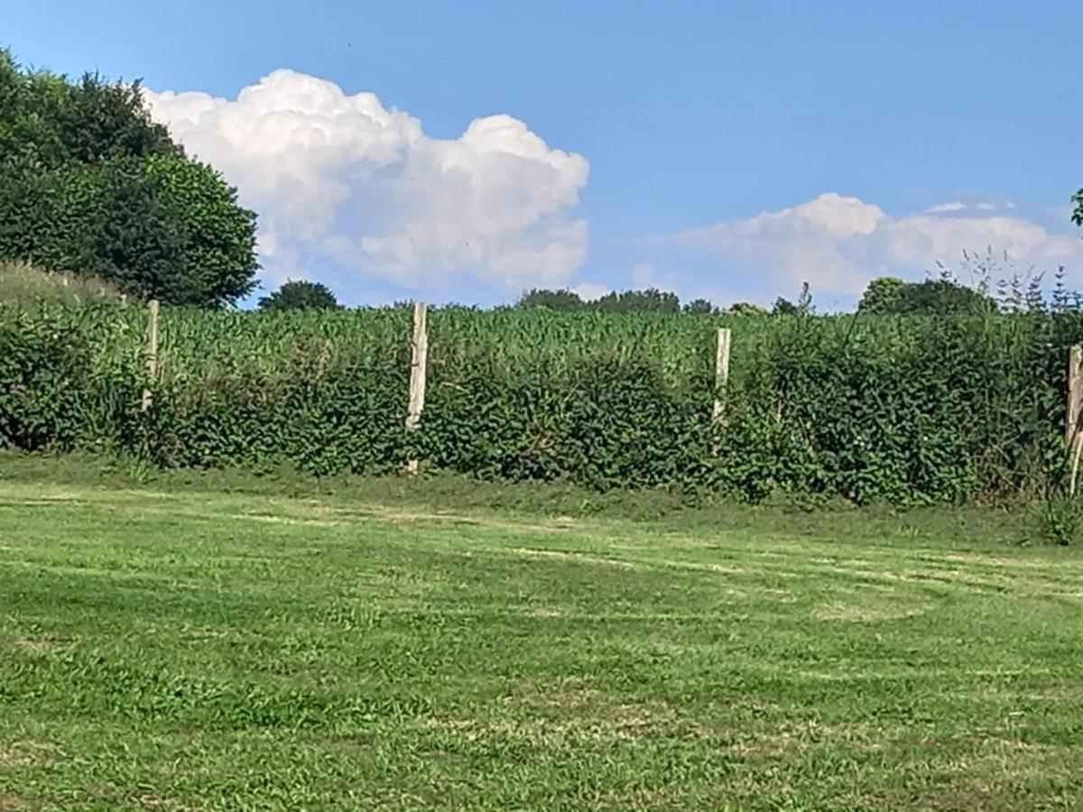 Mortain-Bocage - 2-Bed Wisteria Cottage - Sleeps 4 Notre-Dame-du-Touchet Exteriör bild