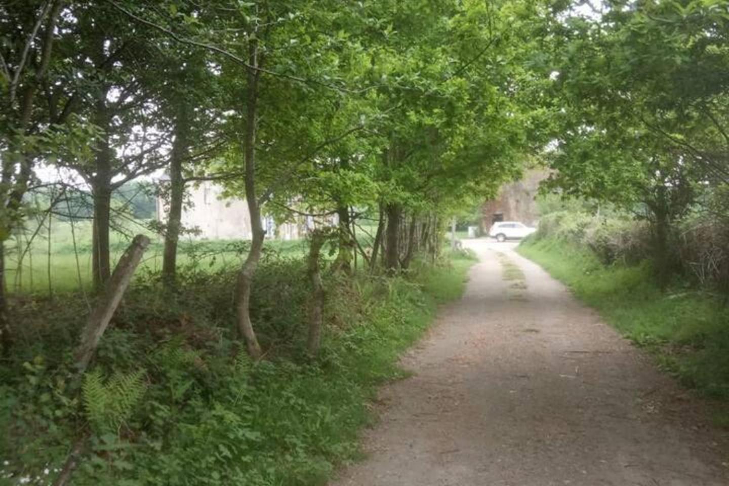 Mortain-Bocage - 2-Bed Wisteria Cottage - Sleeps 4 Notre-Dame-du-Touchet Exteriör bild
